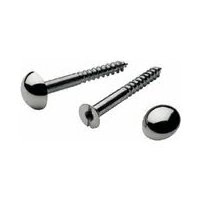 Pack of 10 Mirror Screws 